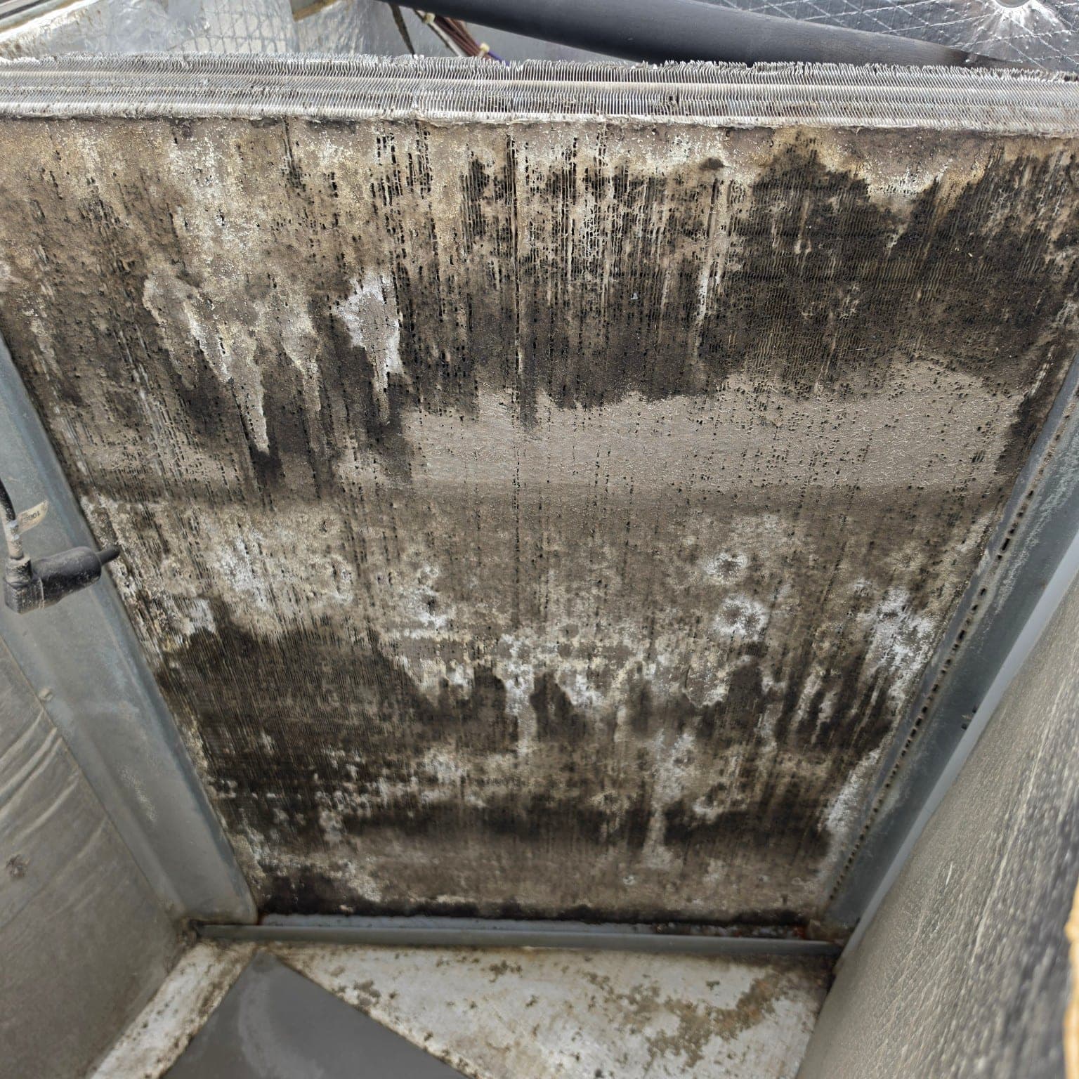 Restricted evaporator coil discovered during professional AC maintenance